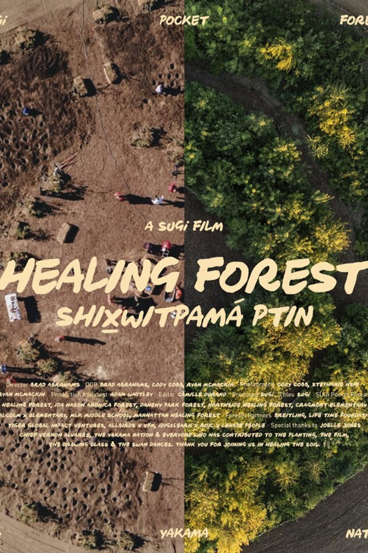 Healing Forest filmaffisch