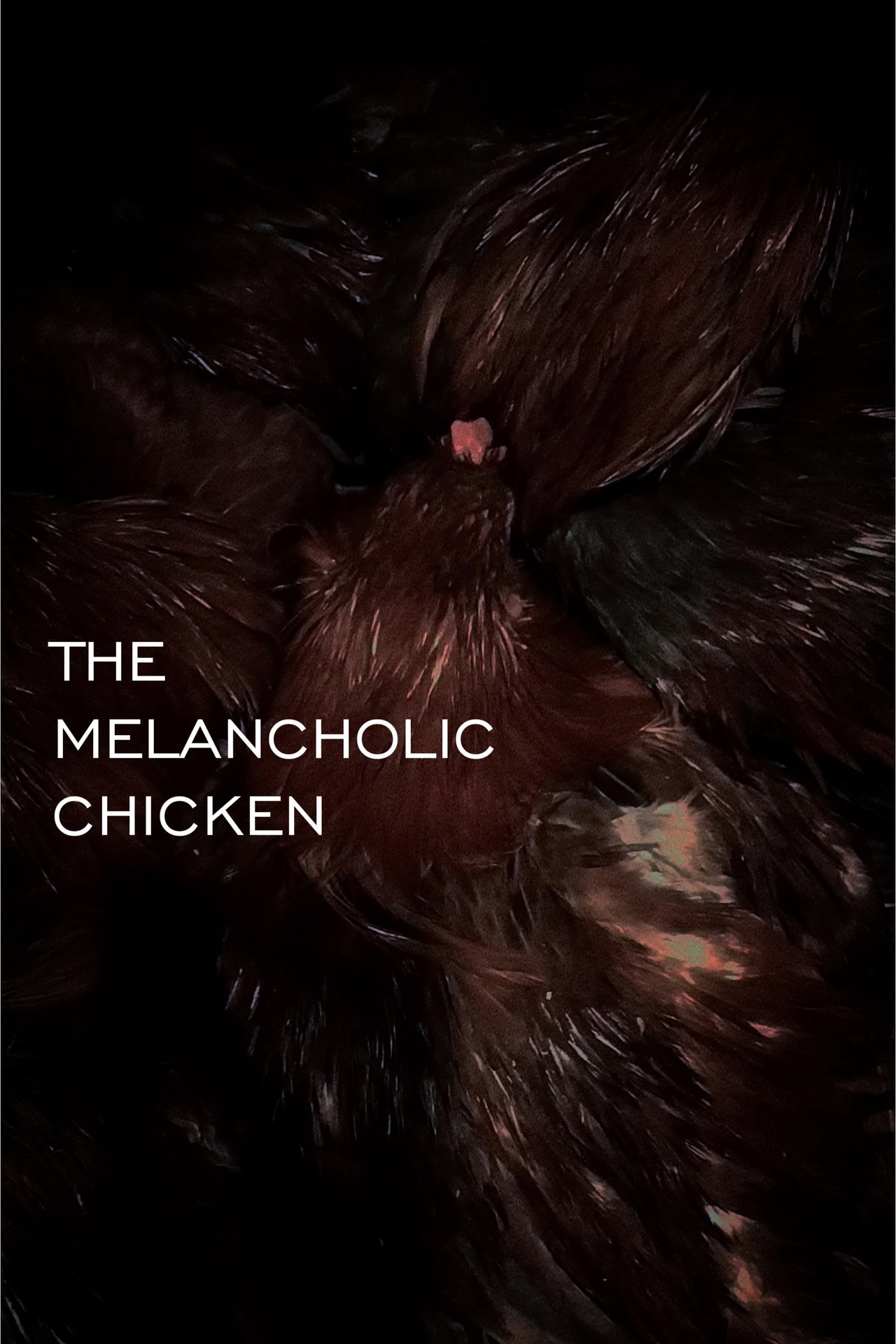 THE MELANCHOLIC CHICKEN Backdrop