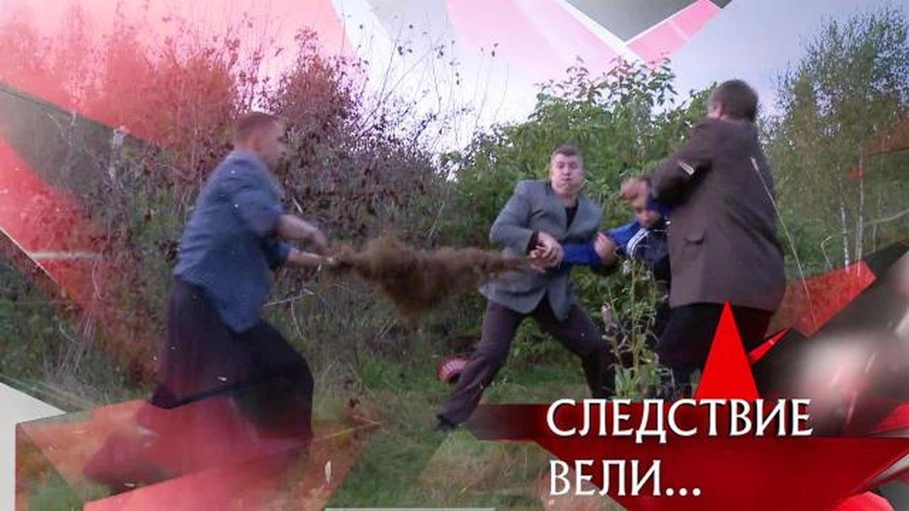 The investigation was conducted - Season 17 Episode 25 : Episode 25