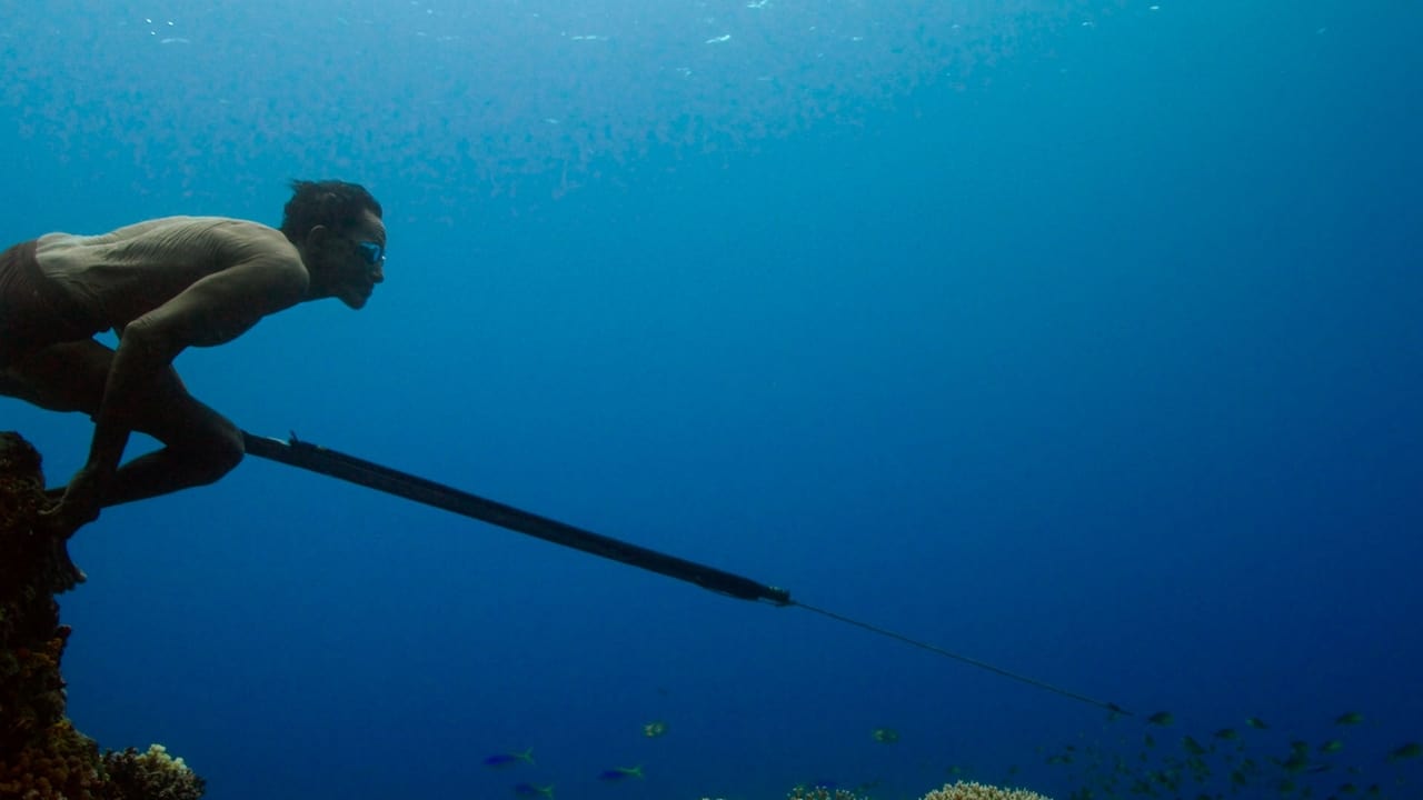 Jago: A Life Underwater Backdrop Image
