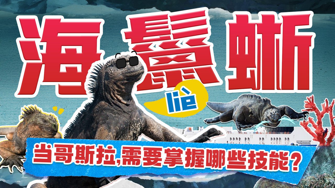 斑马百科探索 — Épisode 30