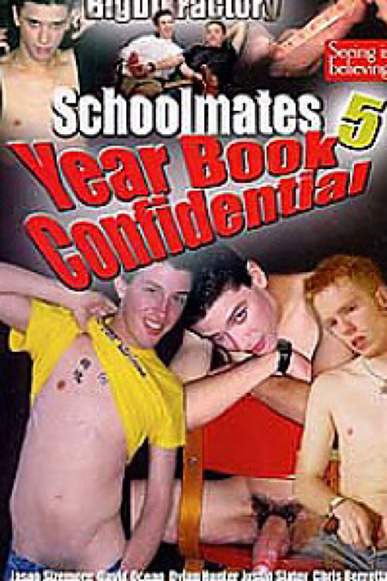 Schoolmates 5: Year Book Confidential Backdrop