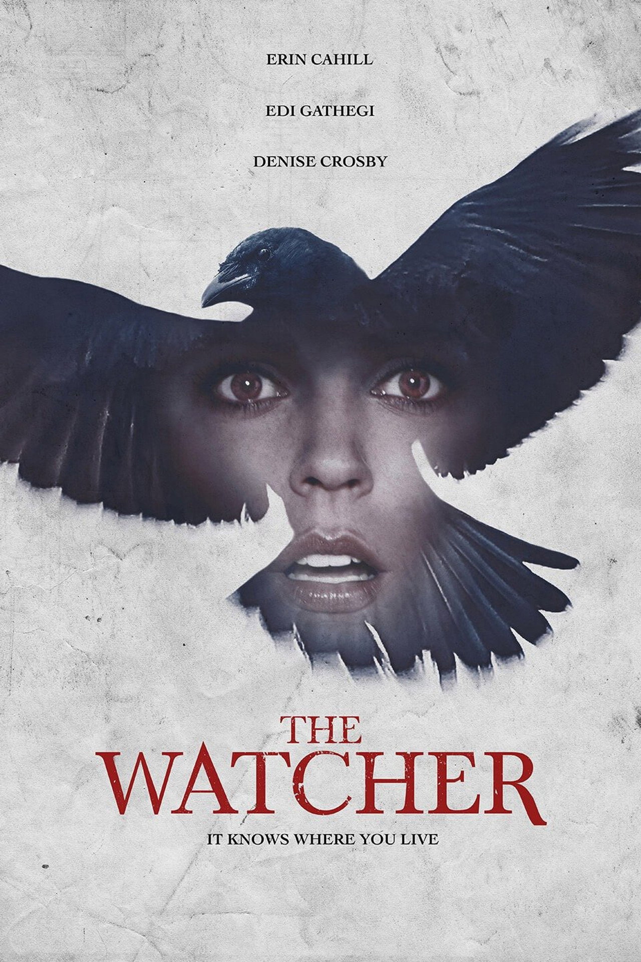 The Watcher filmaffisch