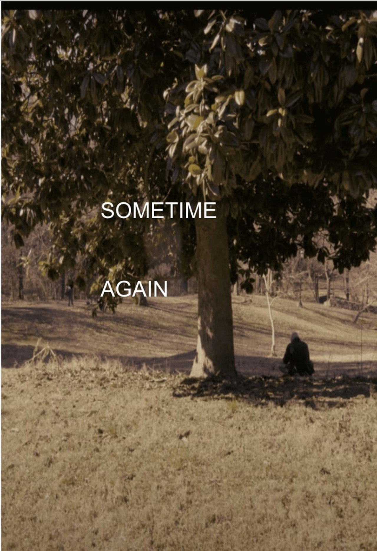 Sometime Again Backdrop