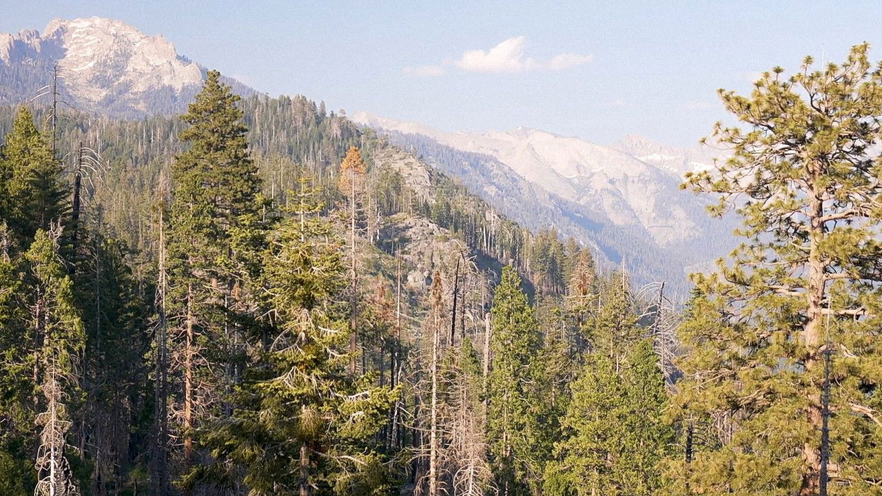 PARK'D — Épisode 1