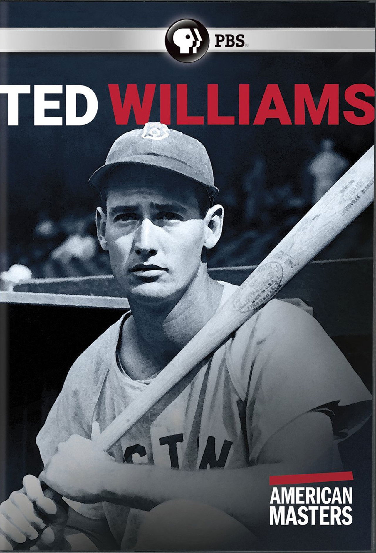 Ted Williams: "The Greatest Hitter Who Ever Lived" Backdrop