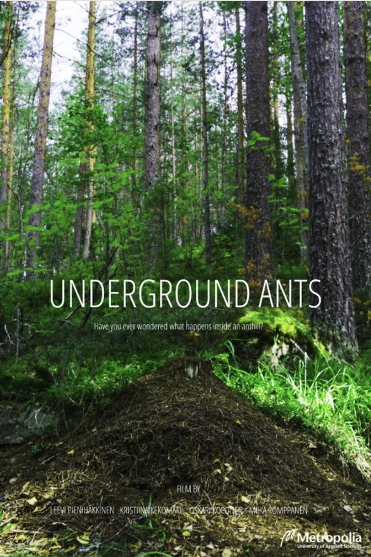 Underground Ants (2024)