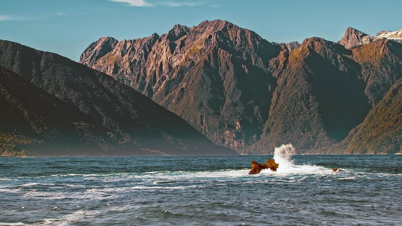 Fascinating New Zealand background