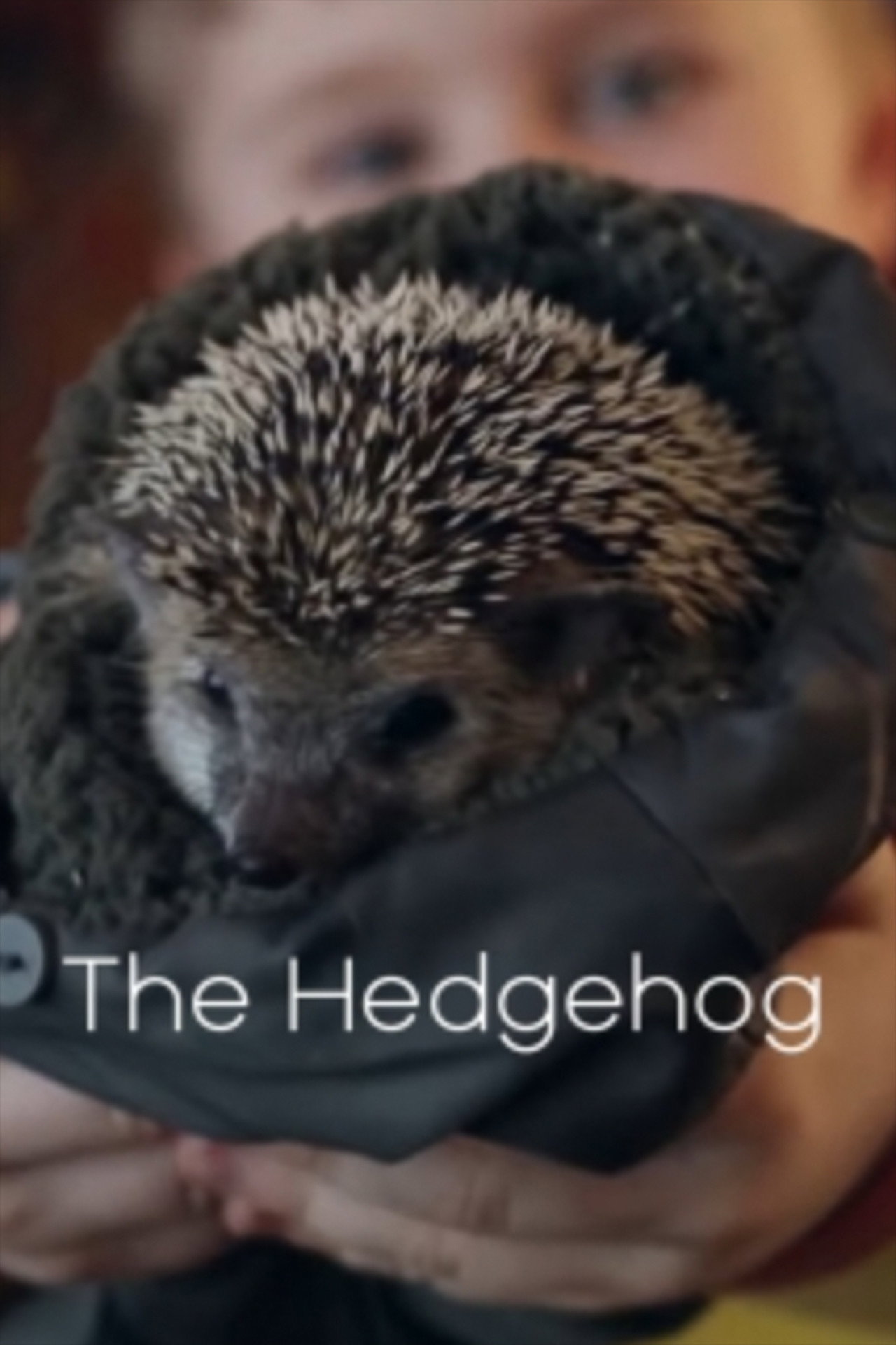 The Hedgehog Backdrop
