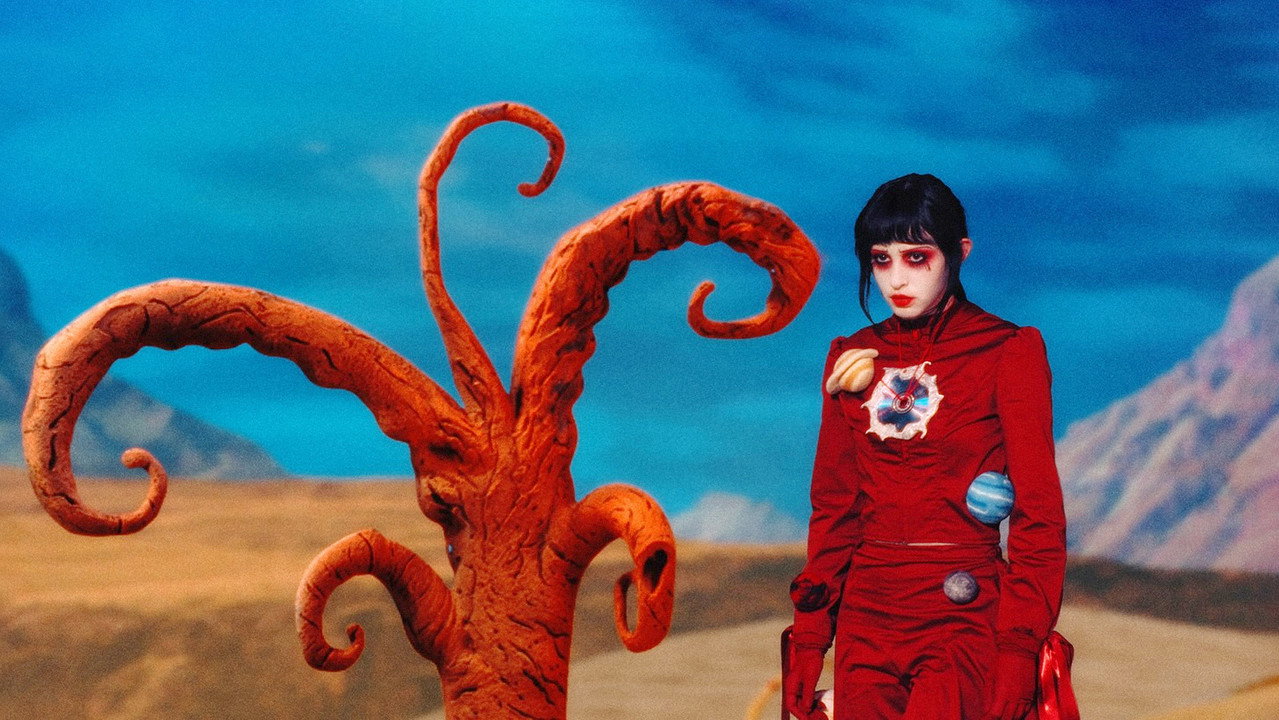 Imaginal Disk still 3