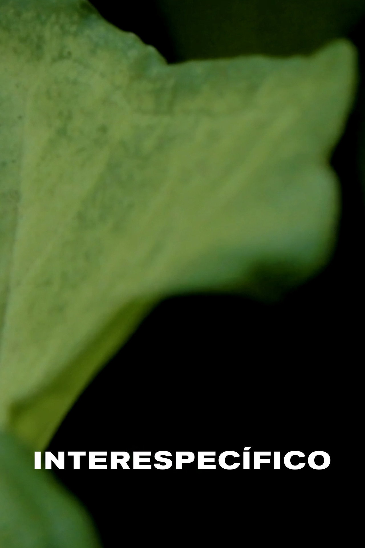 Interspecific Backdrop