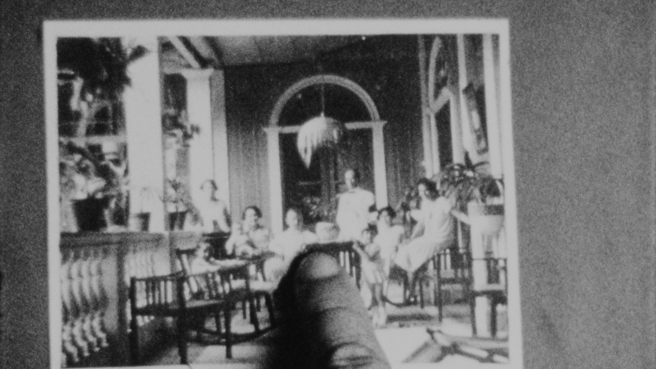 La memoria de las mariposas