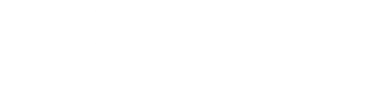 Компания на праздники