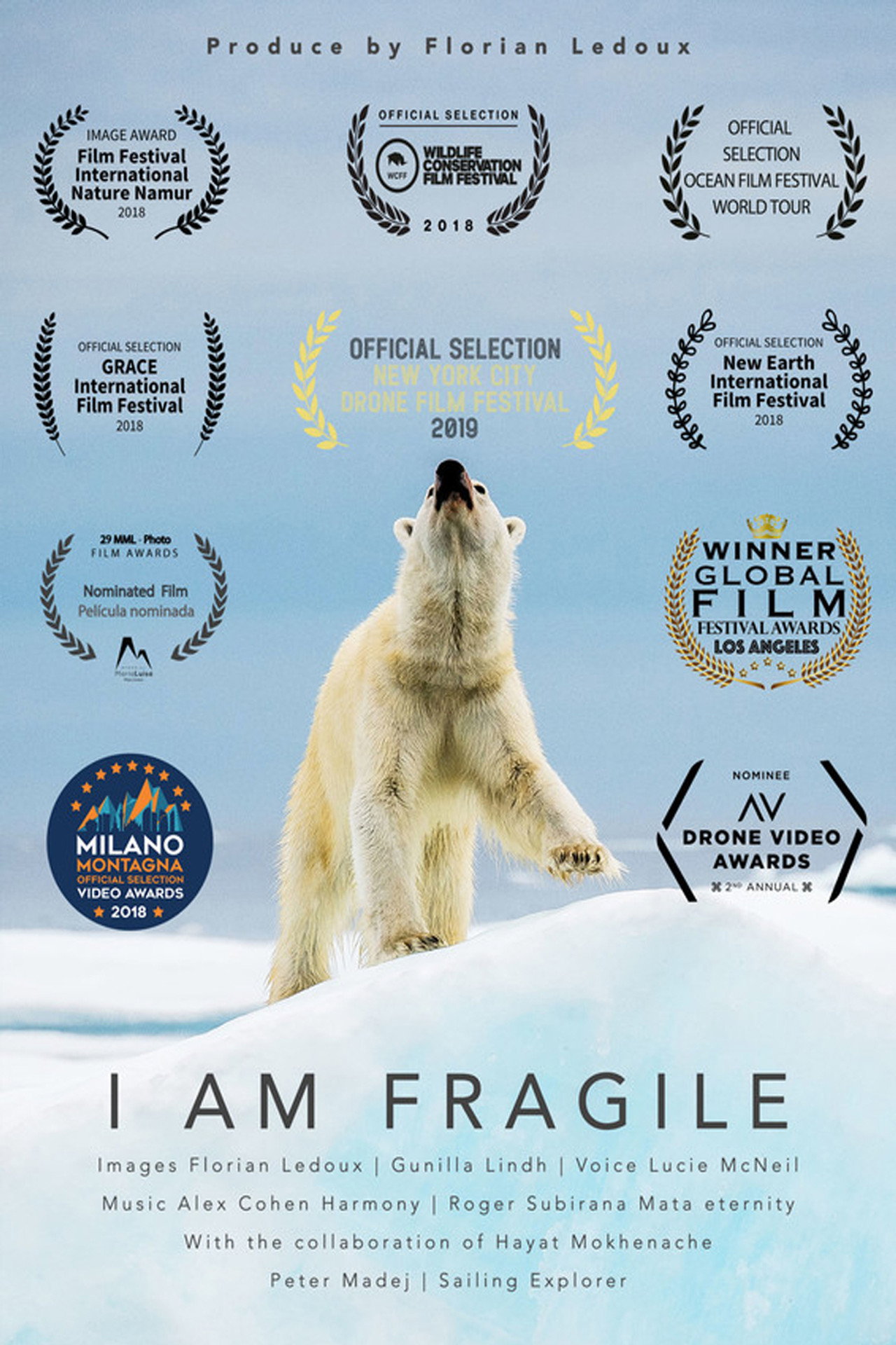 I Am Fragile Backdrop