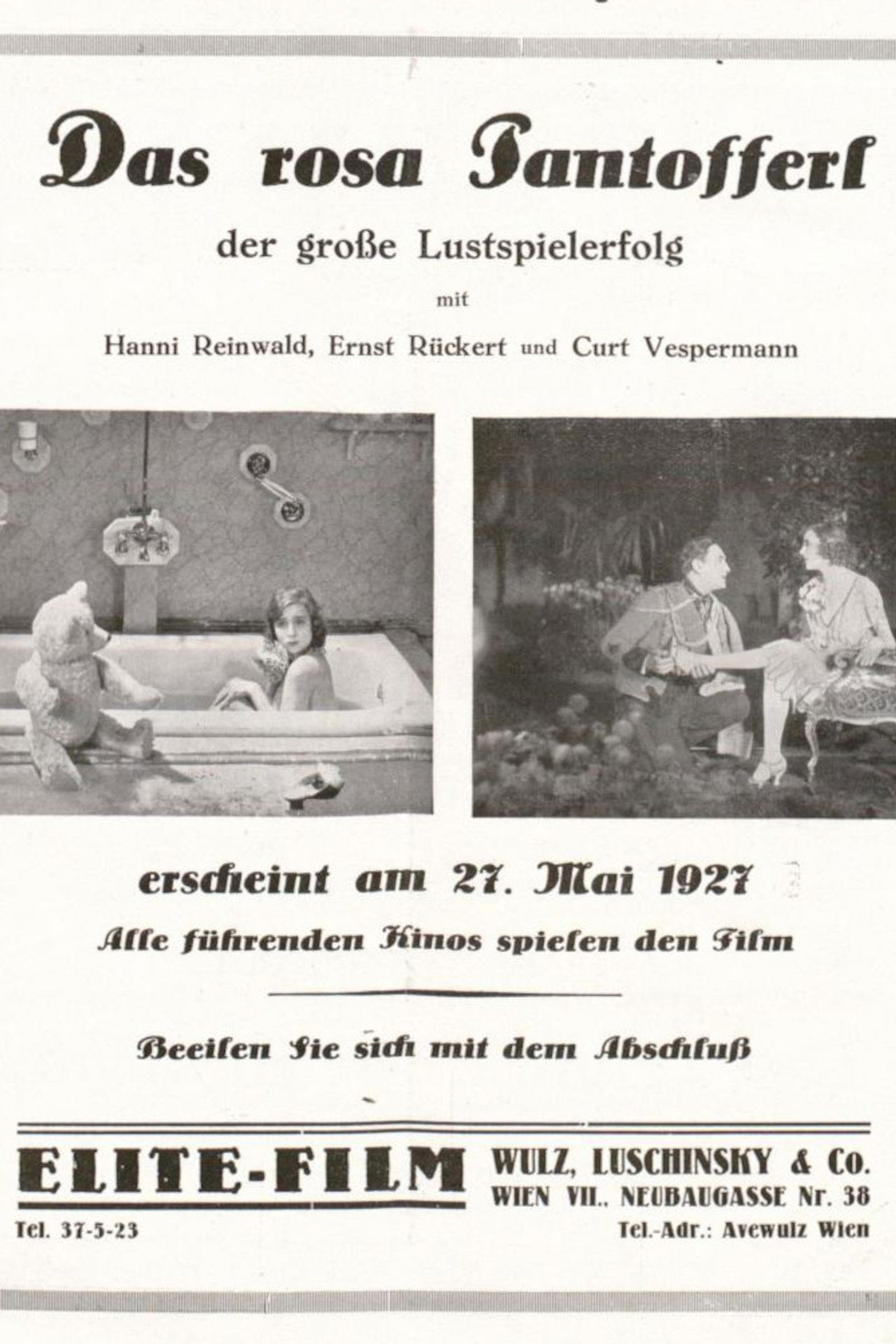 Das rosa Pantöffelchen Backdrop