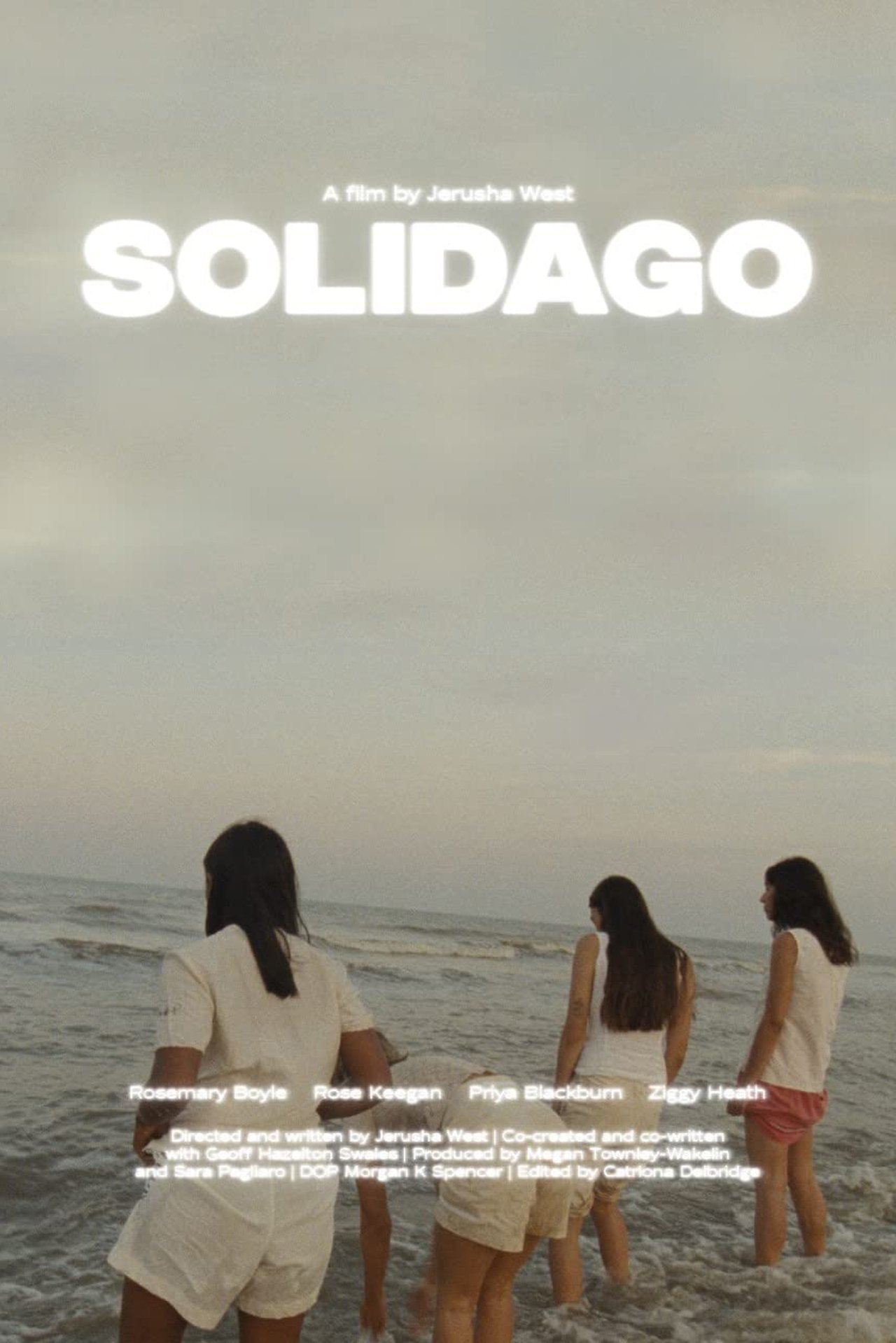 Solidago Solidago