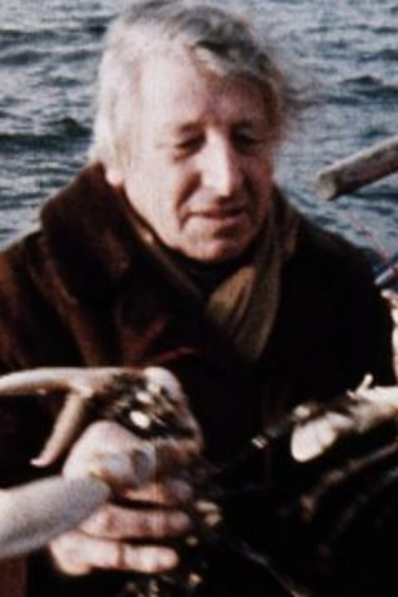 Costa del Coal 1971