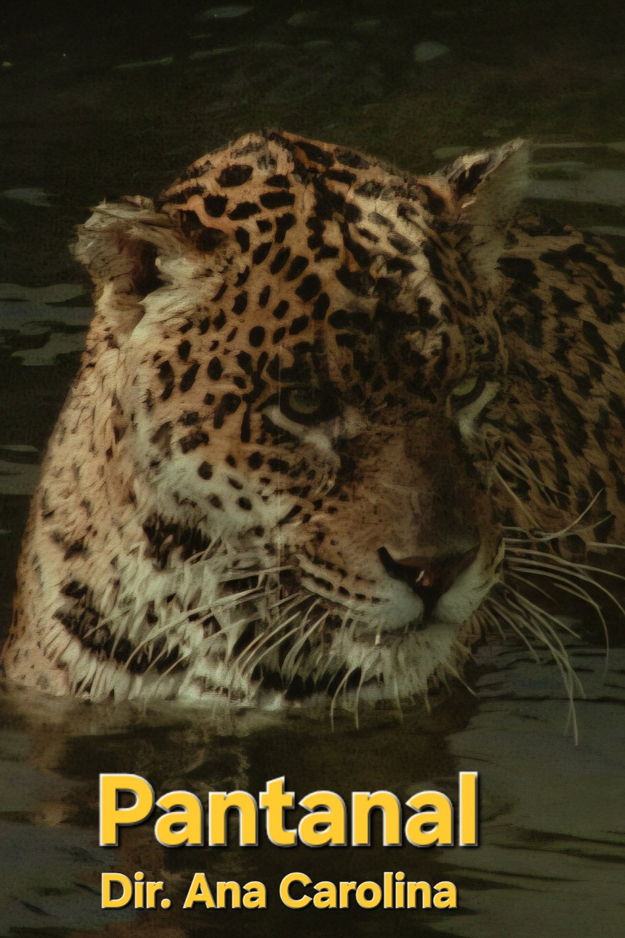 Pantanal filmaffisch