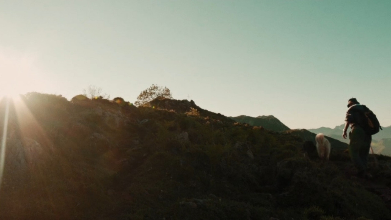 Savages: The Wolf's Tale backdrop