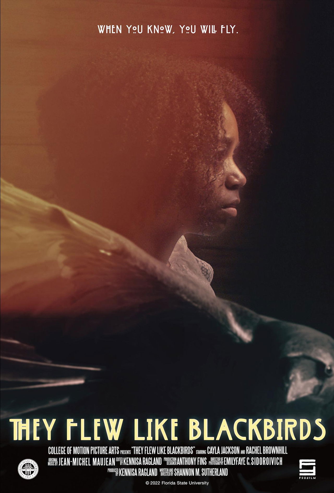 They Flew Like Blackbirds Backdrop