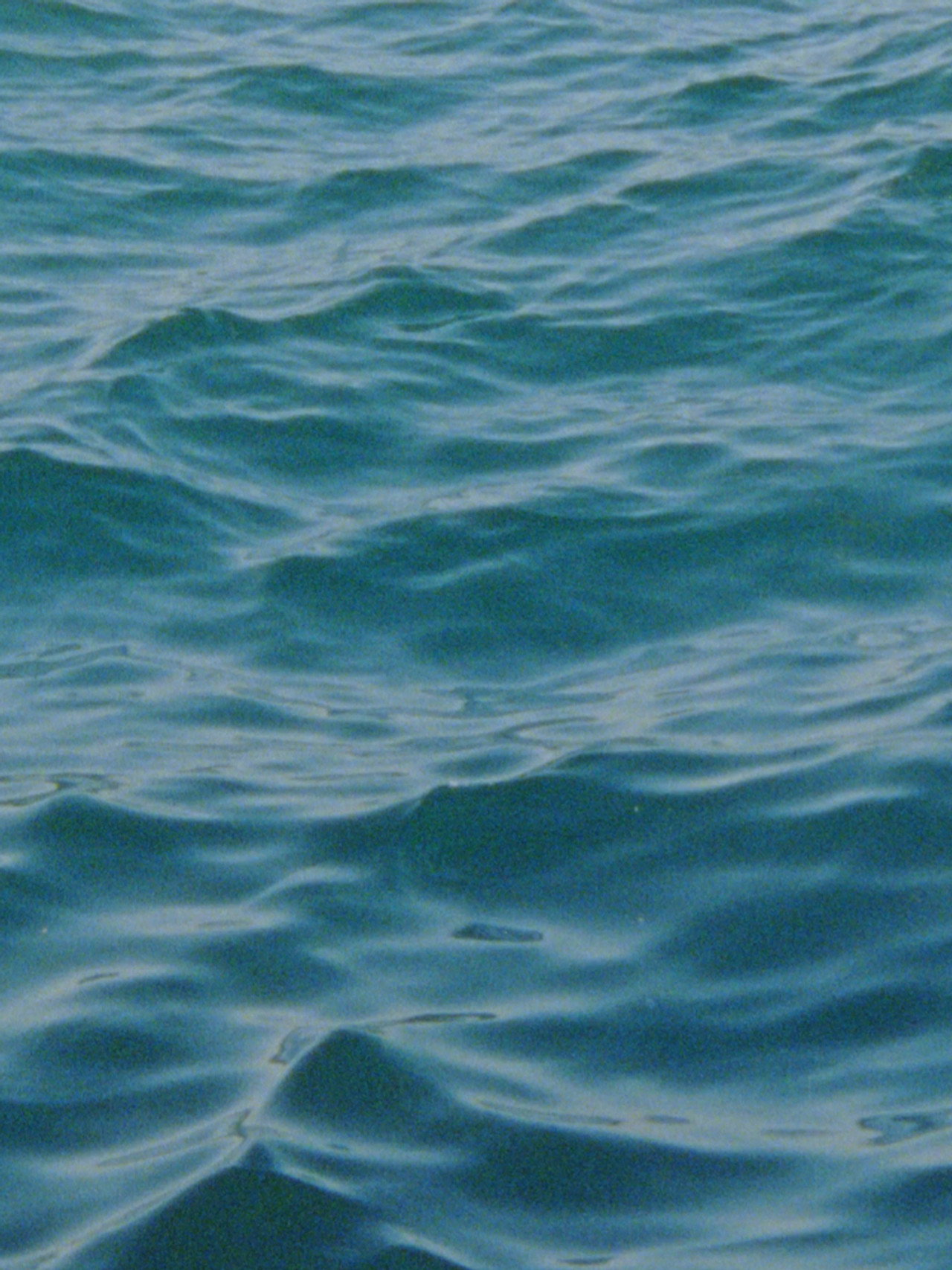 Water Diary filmaffisch