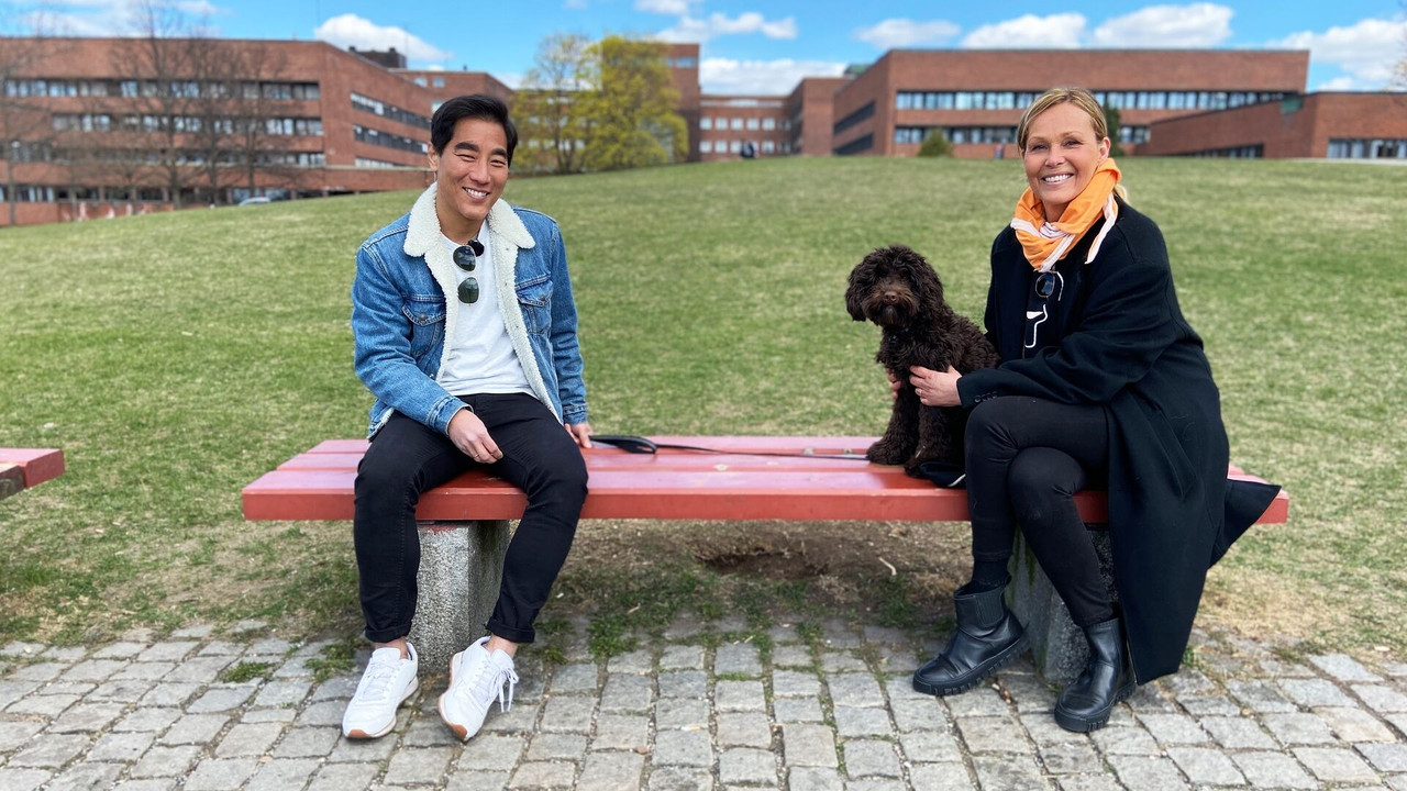 God kveld Norge! — Épisode 12