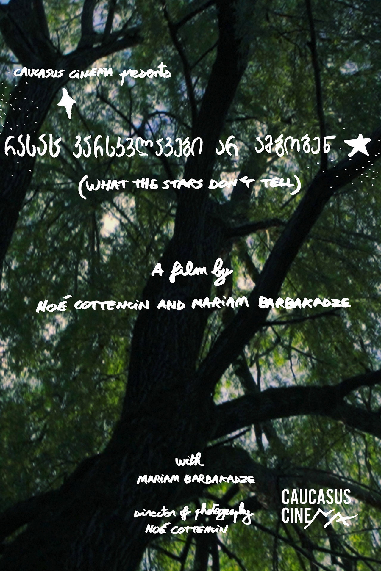 What the Stars Don’t Tell poster