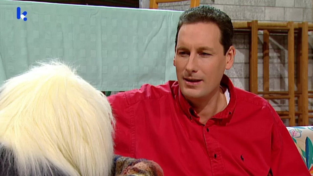 Samson & Gert - Season 15 Episode 4 : Het verkeerslicht