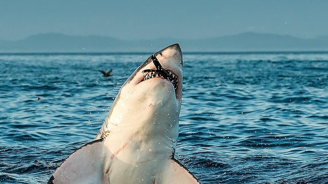 Air Jaws: Ultimate Breach Off background