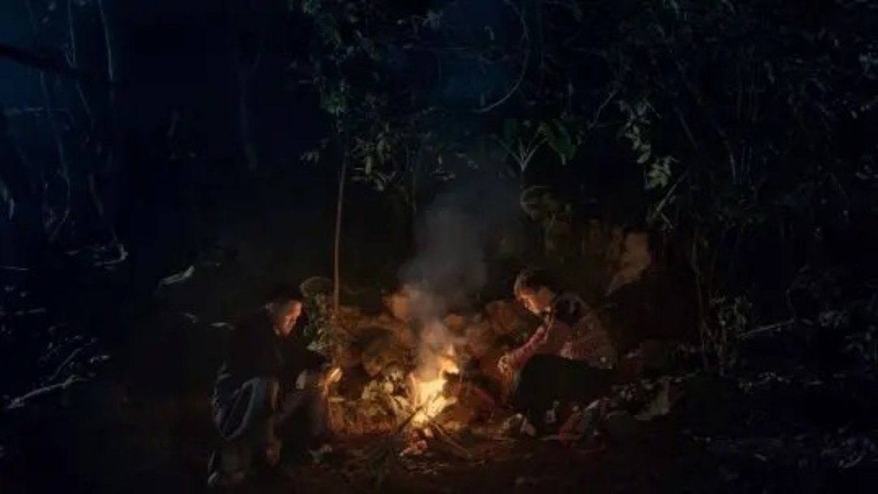Pao's Forest