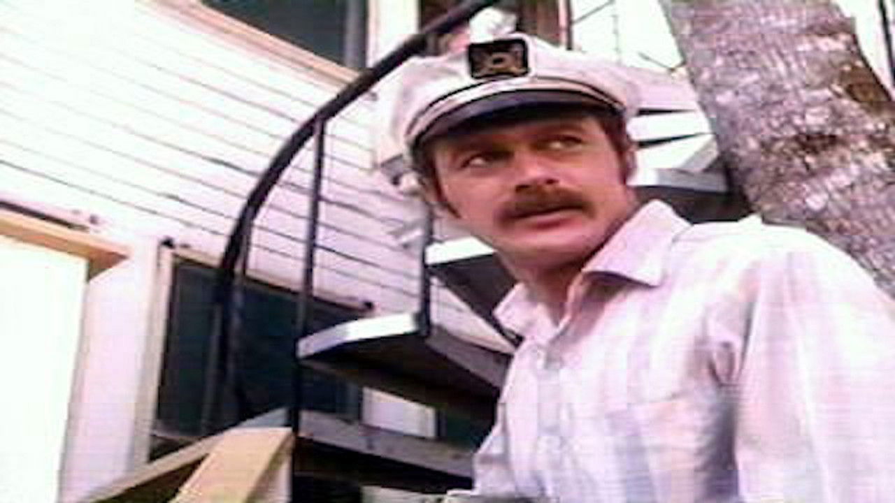 Simon & Simon — La Chasse aux sorcières - 2e partie