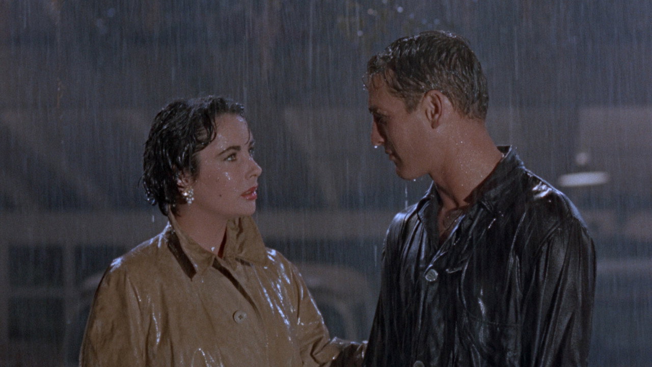 Cat on a Hot Tin Roof background 35