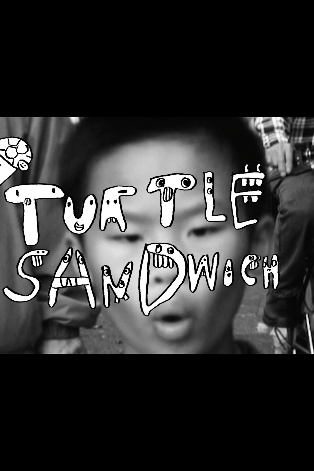 Turtle Sandwich Backdrop