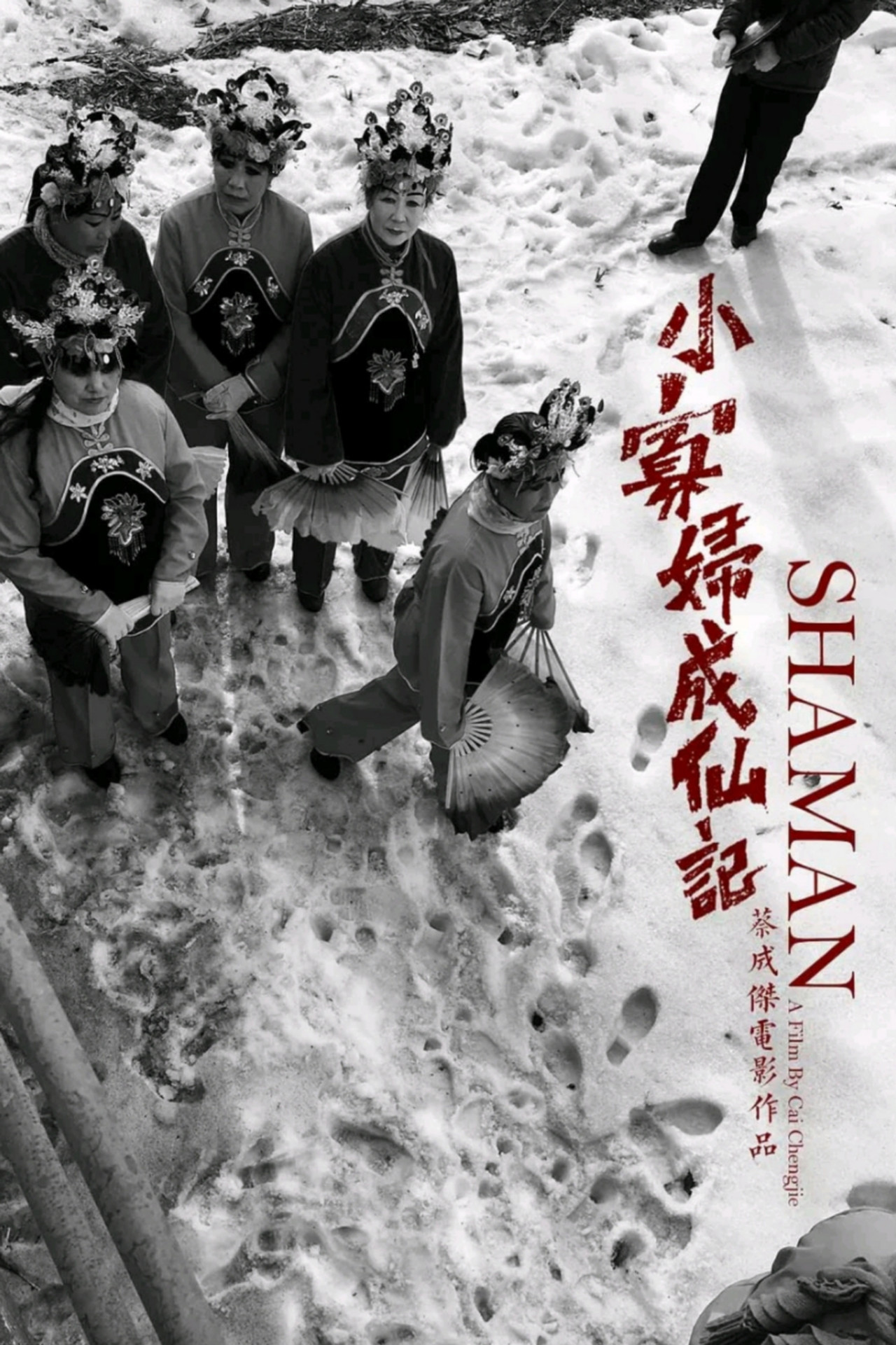 北方一片苍茫 filmaffisch