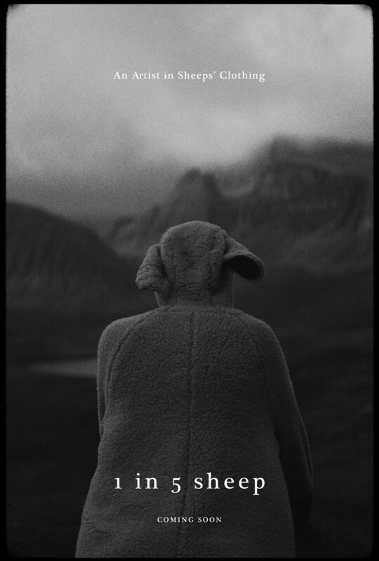 1 In 5 Sheep Backdrop