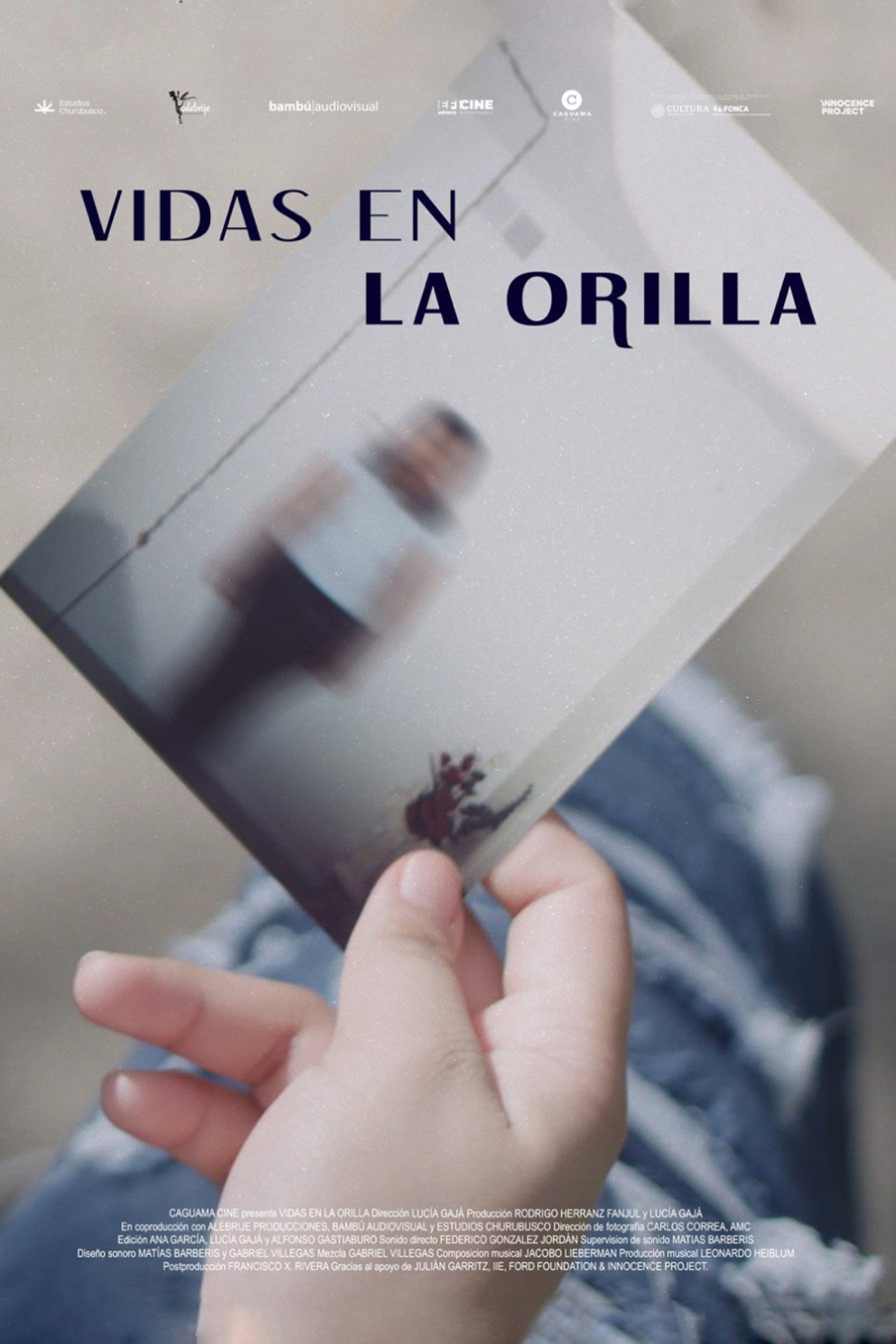 Vidas en la orilla