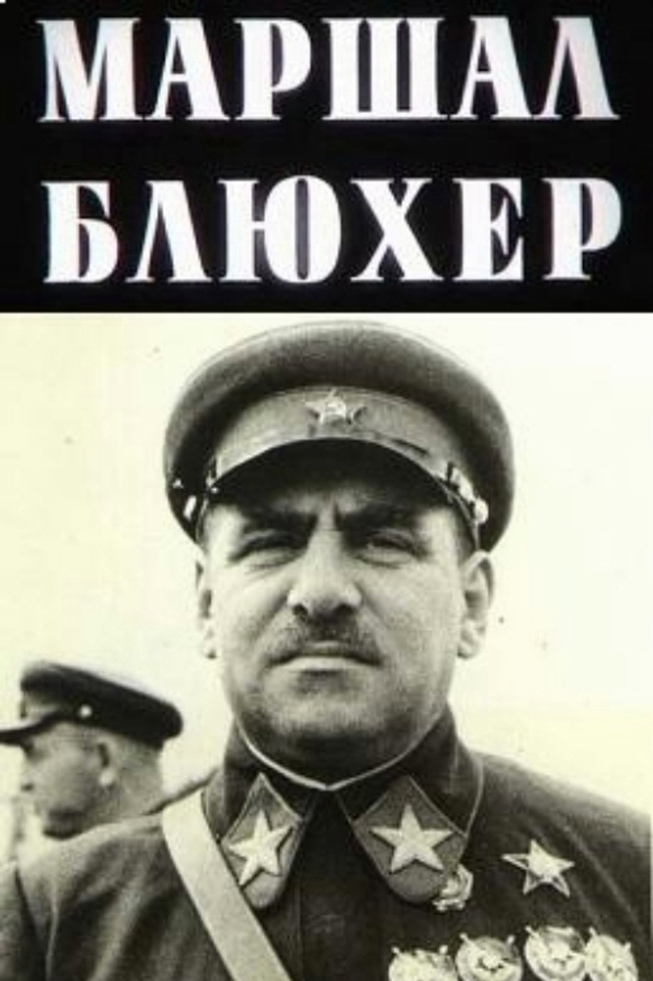Marshal Blucher: A Portrait Against the Background of an Epoch Backdrop