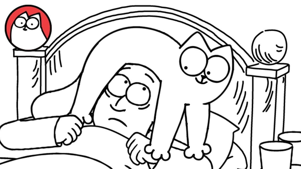 Simon's Cat — Bed Head