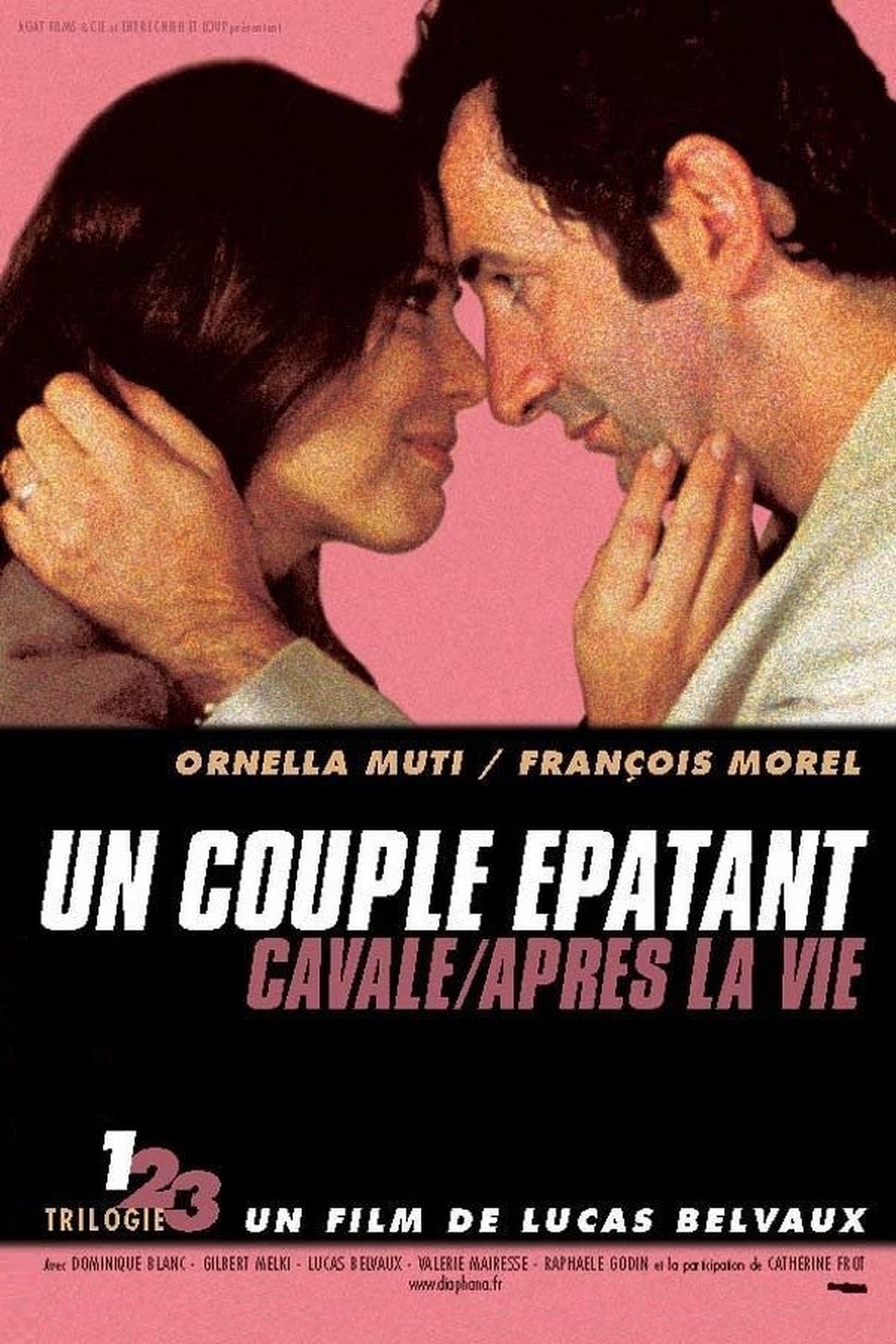 مشاهدة فيلم An Amazing Couple مترجم بدون اعلانات - بوستر