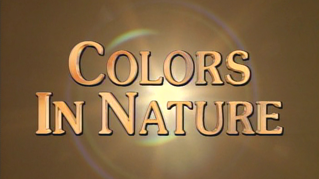 Marty Stouffer's Wild America — Épisode 8