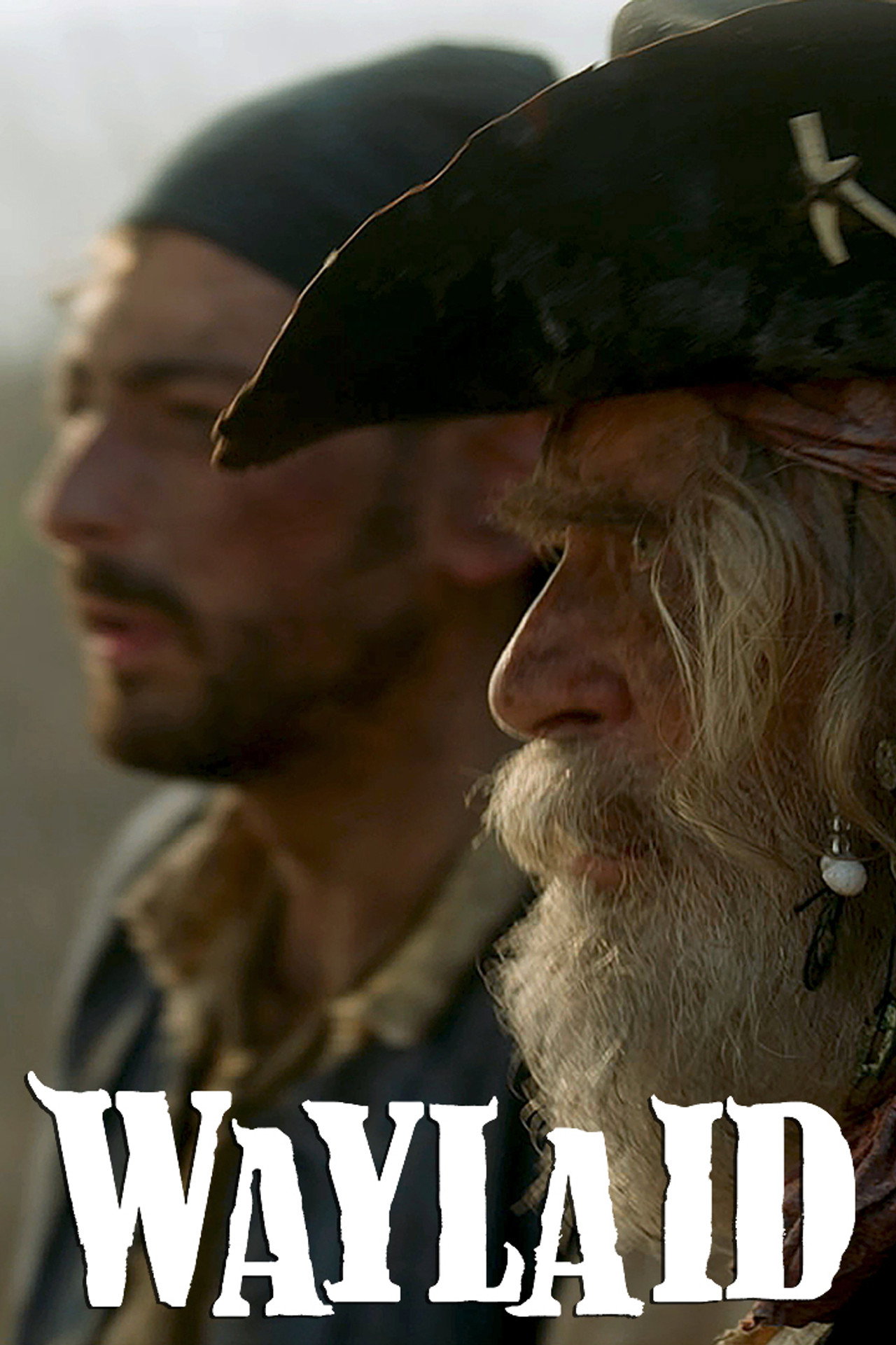 Waylaid filmaffisch