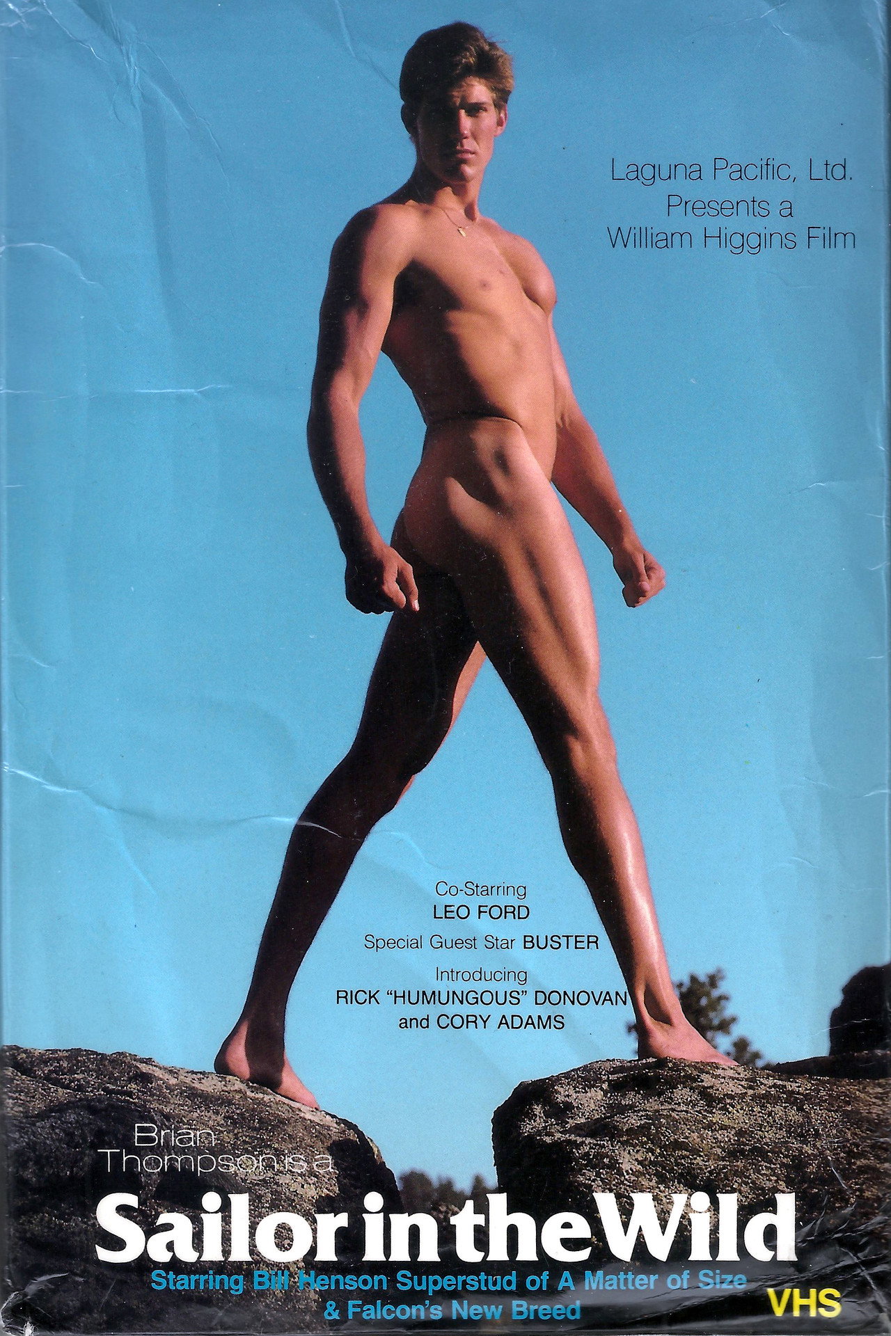 Sailor in the Wild filmaffisch