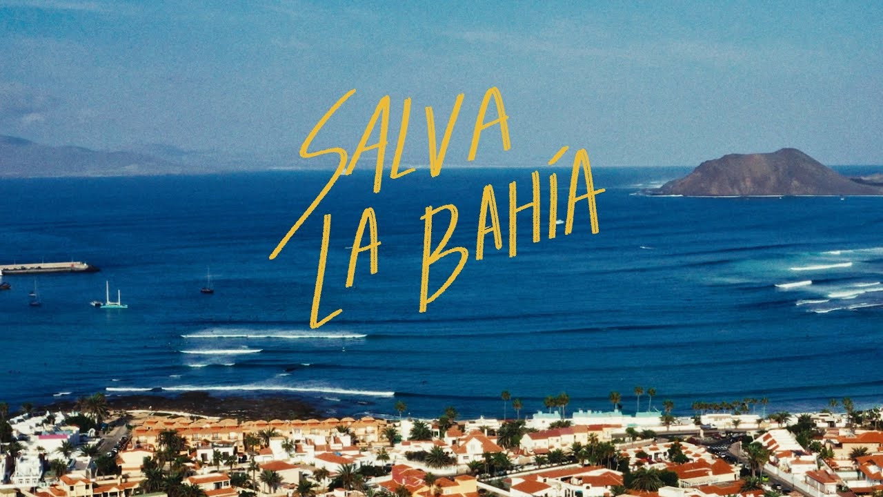 Save the Bay (2026) backdrop