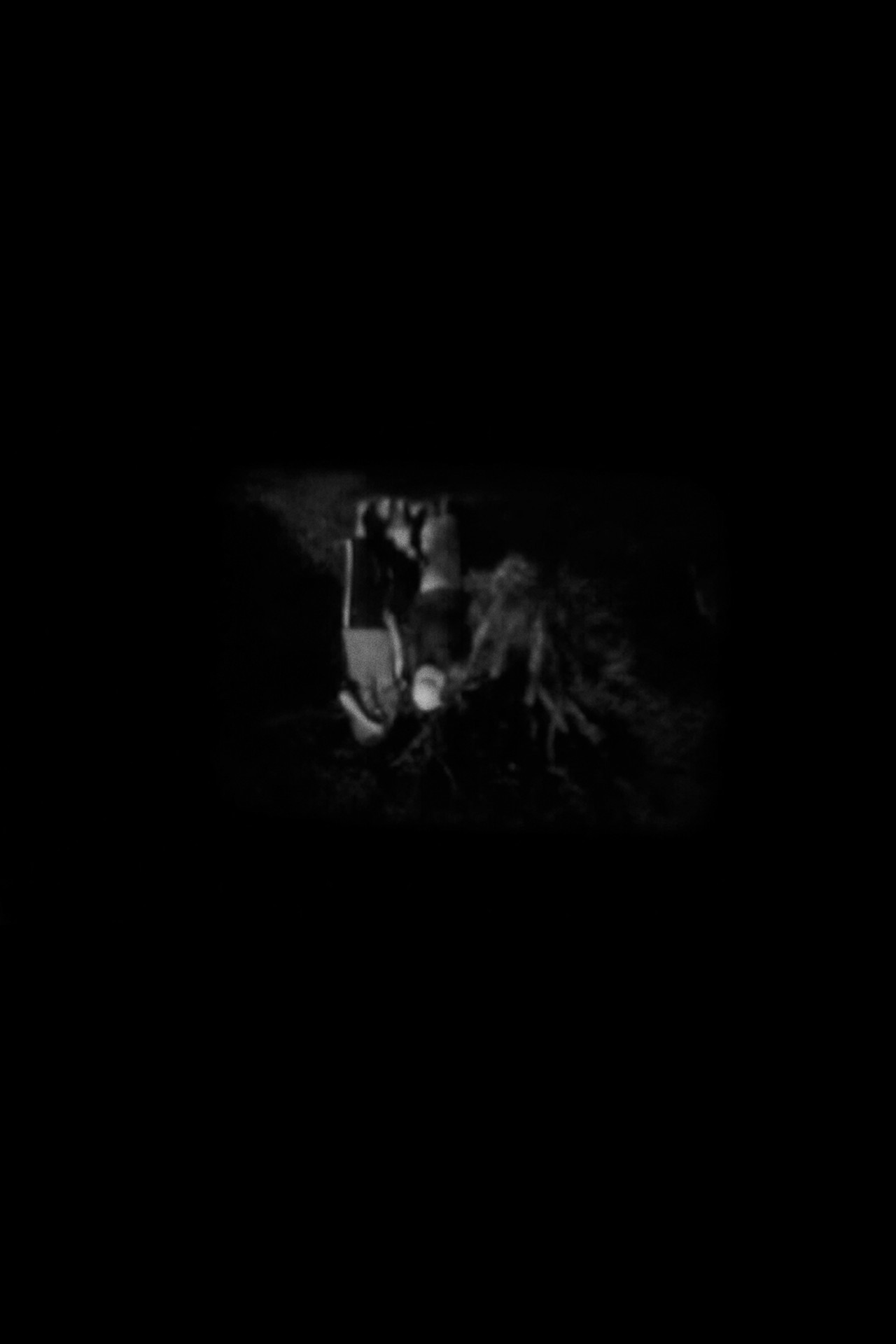 Nocturnum filmaffisch