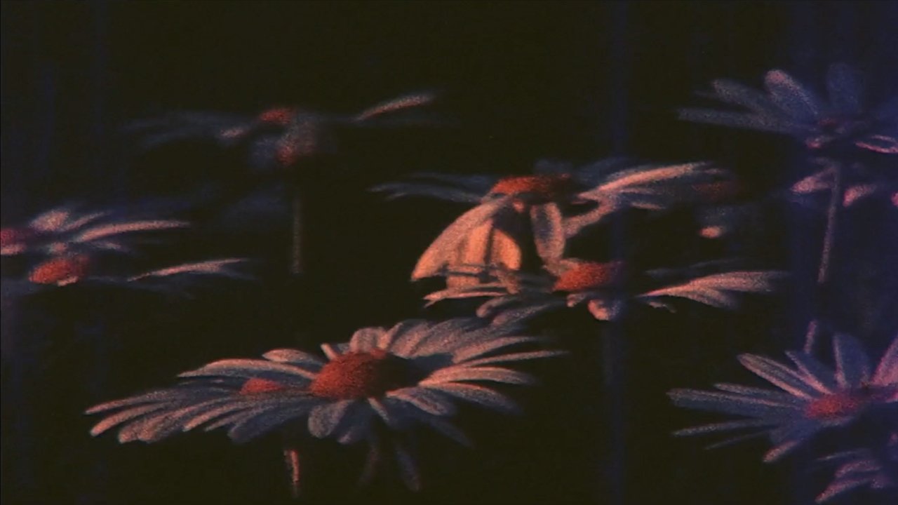 title image