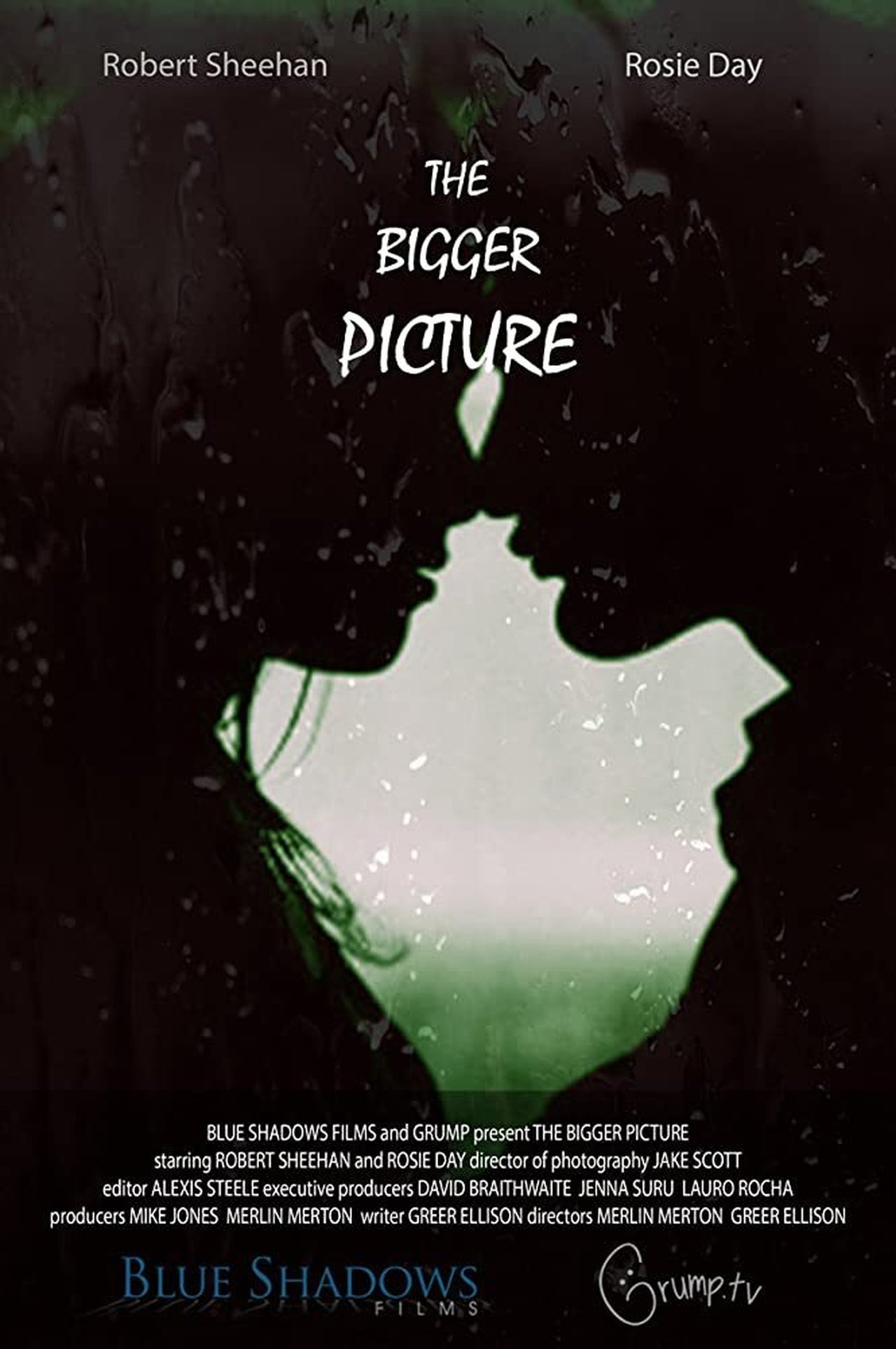 The Bigger Picture The Bigger Picture