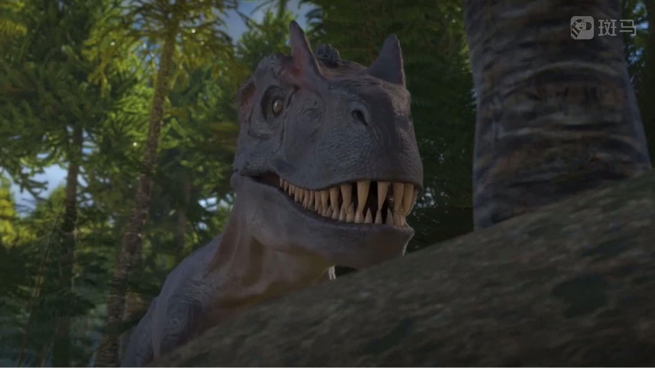 斑马百科 — Épisode 11