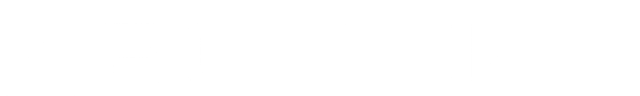 Двойник