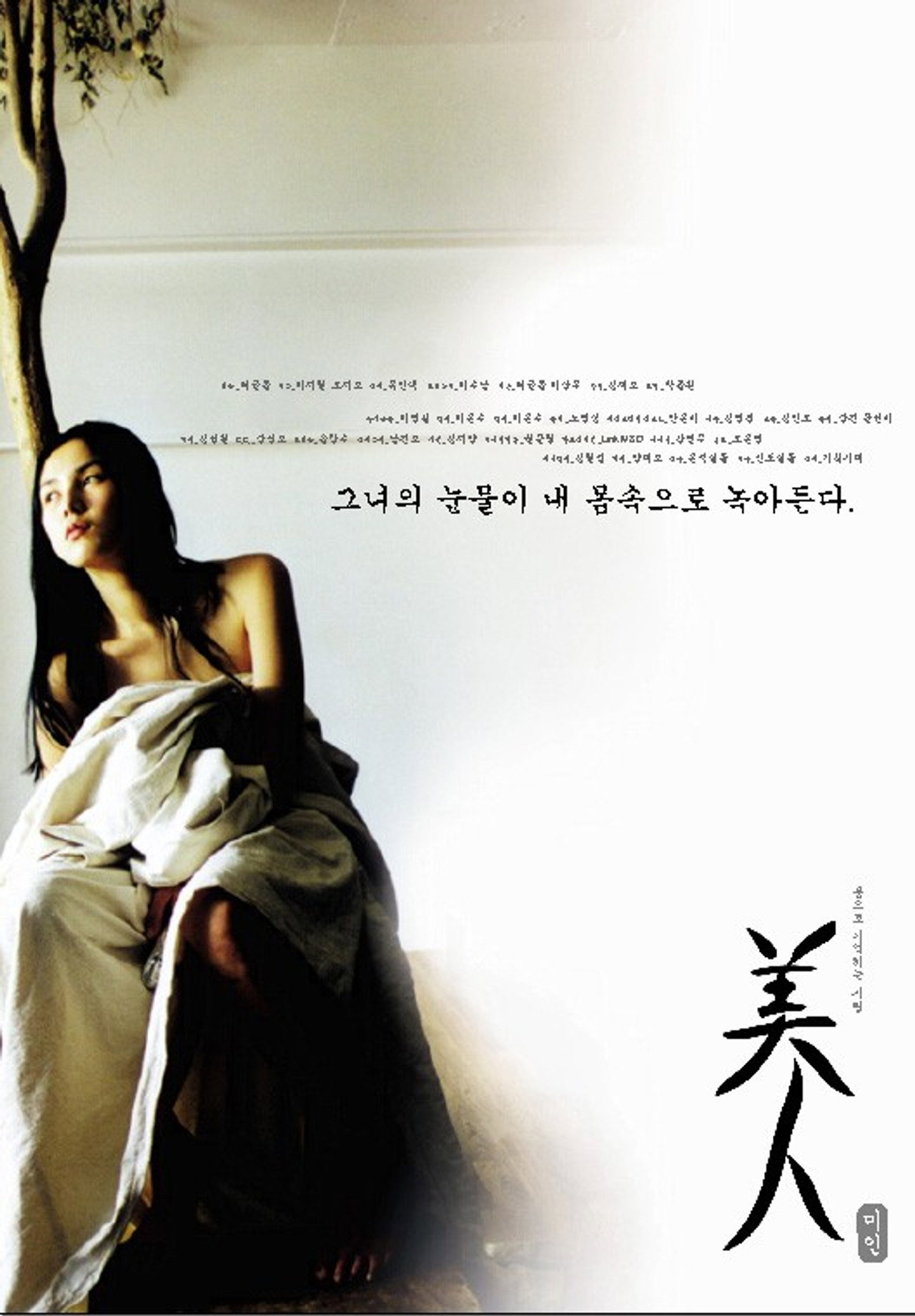 미인 filmaffisch