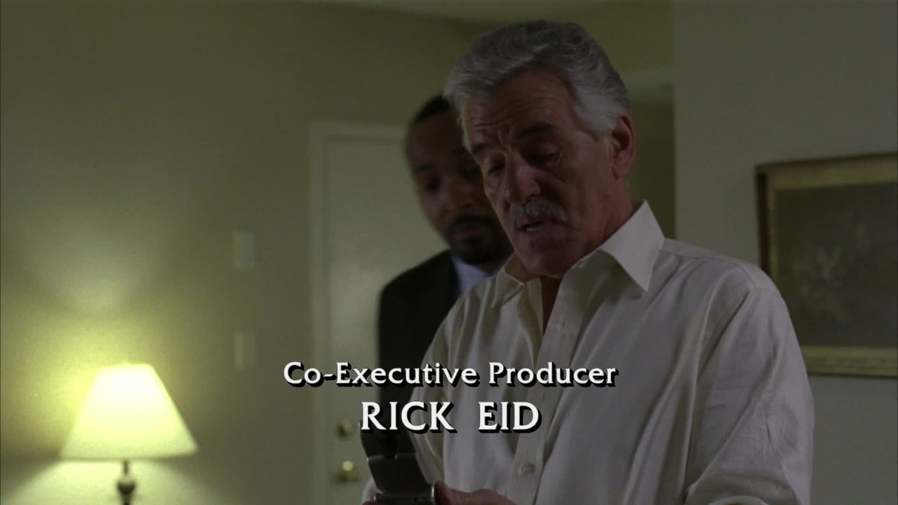 Law & Order - Season 16 Episode 17 : America, Inc.